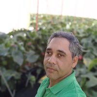 TikTok Account - https://p16-amd-va.tiktokcdn.com/tos-maliva-avt-0068/0309ec089f04bde7209b11cfd9062650~tplv-tiktokx-cropcenter:200:200.jpeg