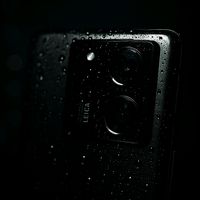 n11exus