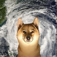 Sound image
