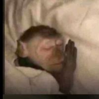 TikTok Account - https://p16-amd-va.tiktokcdn.com/tos-maliva-avt-0068/0464451a9552a7b592f2b5f22ec73e9a~tplv-tiktokx-cropcenter:200:200.jpeg