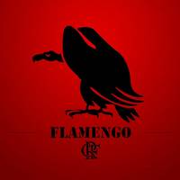 paz_no_flamengo