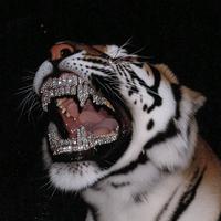 original sound - nfldxrm