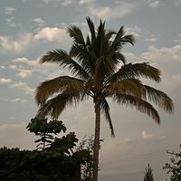 fruitbushh