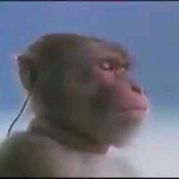 TikTok Account - https://p16-amd-va.tiktokcdn.com/tos-maliva-avt-0068/08d43e7363a681a1916c7010f9a0bff6~tplv-tiktokx-cropcenter:200:200.jpeg