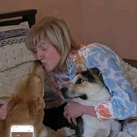 TikTok Account - https://p16-amd-va.tiktokcdn.com/tos-maliva-avt-0068/08d610b27557e6b6aac0dbc93c55011e~tplv-tiktokx-cropcenter:200:200.jpeg