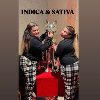 TikTok Account - https://p16-amd-va.tiktokcdn.com/tos-maliva-avt-0068/0a5e0a5d43d3825bf9fe670d42f276e5~tplv-tiktokx-cropcenter:200:200.jpeg