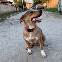 TikTok Account Photo