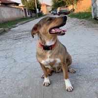 TikTok Account Photo