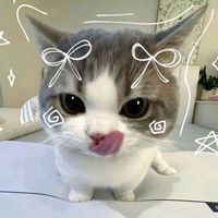 TikTok Account - https://p16-amd-va.tiktokcdn.com/tos-maliva-avt-0068/0b4a1b548242b5e3d38f97b38d9e1ceb~tplv-tiktokx-cropcenter:200:200.jpeg