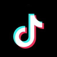 tiktok_team291