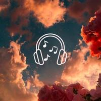 Sound image