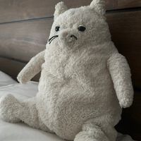 munchiepuddlespla