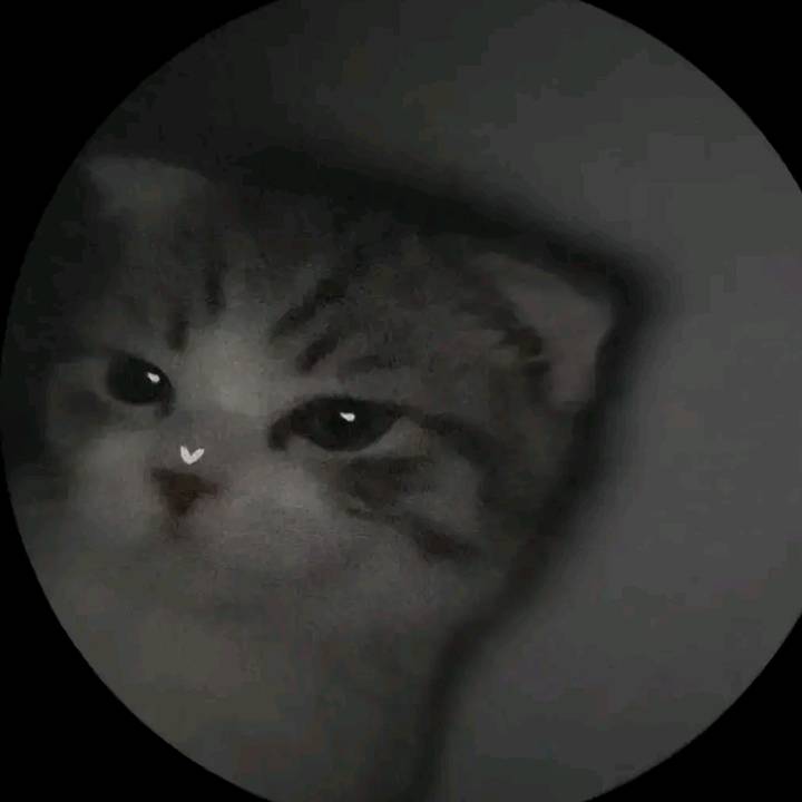 faqa_ - original sound - faqa.__