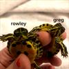 rowley & greg 🐢💓 - @rowleyyandgreg - TikTok