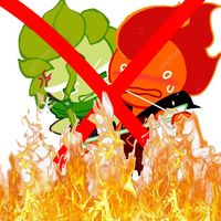 maescristascontrafirewin