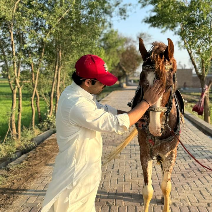 gohar188