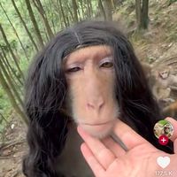TikTok Account Photo