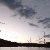 cantossertanejos