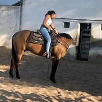 marialuizacavalosss