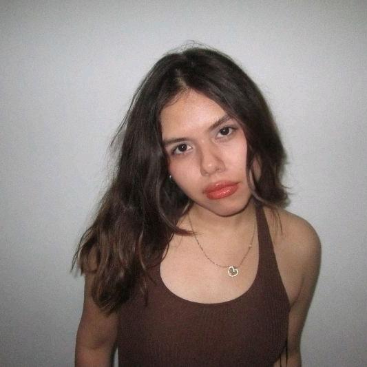cris_en.crisis