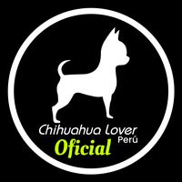 chihuahualoverperu