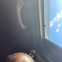 TikTok Account - https://p16-amd-va.tiktokcdn.com/tos-maliva-avt-0068/1142b42d8603d965ce14ff72da07c53c~tplv-tiktokx-cropcenter:200:200.jpeg