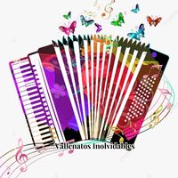 TikTok Account - https://p16-amd-va.tiktokcdn.com/tos-maliva-avt-0068/119927bf44deb2608eeeb1e80fd4d926~tplv-tiktokx-cropcenter:200:200.jpeg