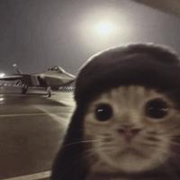 TikTok Sound - original sound - w1llyumm_