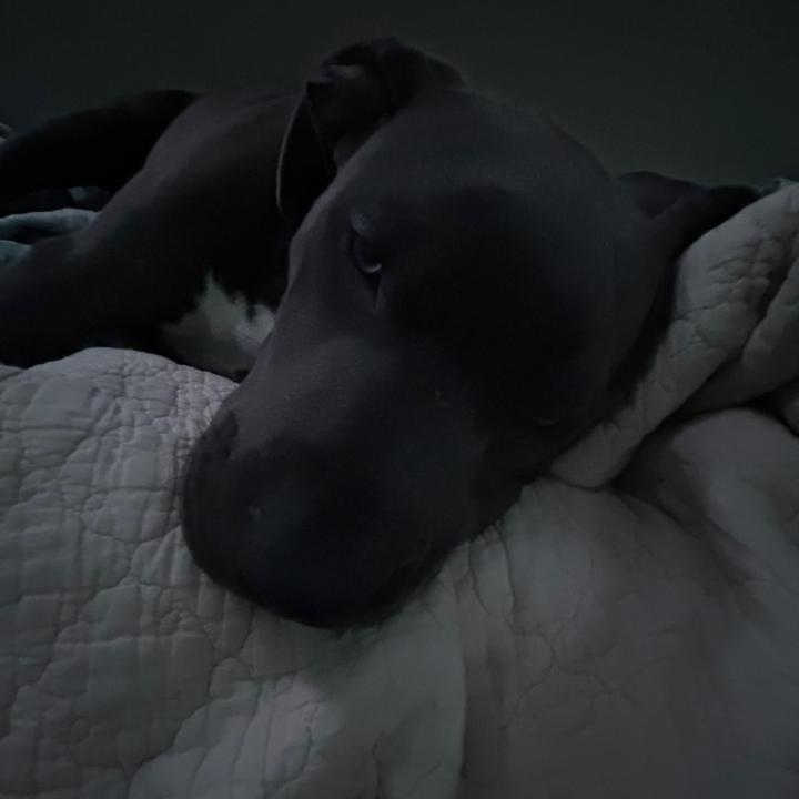 2am_nasaa