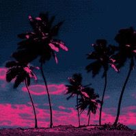 TikTok Account - https://p16-amd-va.tiktokcdn.com/tos-maliva-avt-0068/13e465441639a875a54080da600a022f~tplv-tiktokx-cropcenter:200:200.jpeg