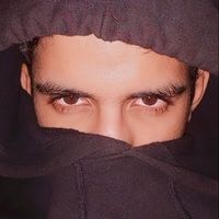 im1_art1
