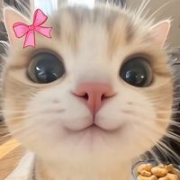 TikTok Account - https://p16-amd-va.tiktokcdn.com/tos-maliva-avt-0068/141e64d041e2f001a41a0bc055d9cecb~tplv-tiktokx-cropcenter:200:200.jpeg