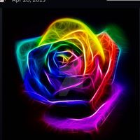 TikTok Account Photo