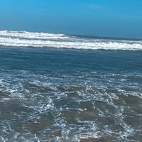 TikTok Account - https://p16-amd-va.tiktokcdn.com/tos-maliva-avt-0068/145d94180730bd647f3fd6e123434979~tplv-tiktokx-cropcenter-q:200:200:q70.jpg