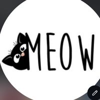 meow_shop_kotele