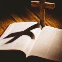 original sound - diosesfiel568