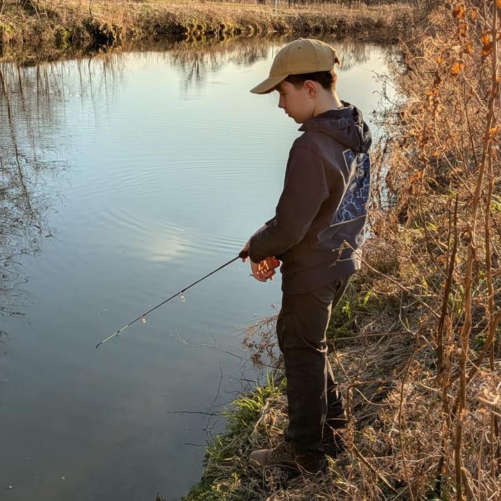alfie_fishes_