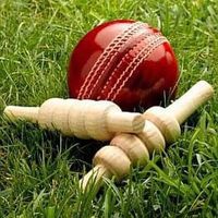 village_cricket1