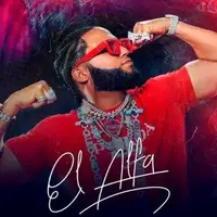 TikTok Account - elalfaeljefet