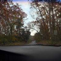 original sound - kiwi.l2