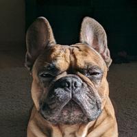 Программа Время