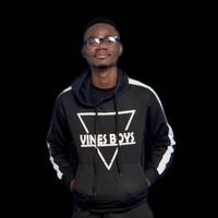 TikTok Account - lisboa_amaral