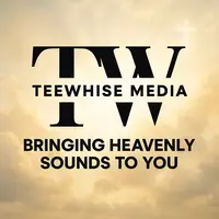 TikTok Account - teewhisemedia