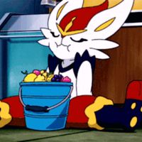 cindarece_e_sauturma