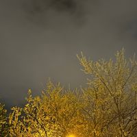 TikTok Account - https://p16-amd-va.tiktokcdn.com/tos-maliva-avt-0068/16b17c1c03a491c4712d2d9c217372db~tplv-tiktokx-cropcenter:200:200.jpeg