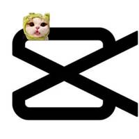 TikTok Account - https://p16-amd-va.tiktokcdn.com/tos-maliva-avt-0068/17f2ad0bf964689ae9e3b146a1ff813f~tplv-tiktokx-cropcenter-q:200:200:q70.jpg