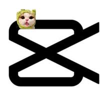 Sound image