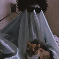 original sound - el_mau117