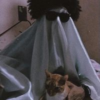 TikTok Account - https://p16-amd-va.tiktokcdn.com/tos-maliva-avt-0068/186ad02a0de5c28328c06d2e5466be82~tplv-tiktokx-cropcenter:200:200.jpeg