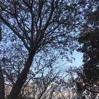 TikTok Account - https://p16-amd-va.tiktokcdn.com/tos-maliva-avt-0068/18fdca6c055adb82dc484bd38c50bdc8~tplv-tiktokx-cropcenter-q:200:200:q70.jpg